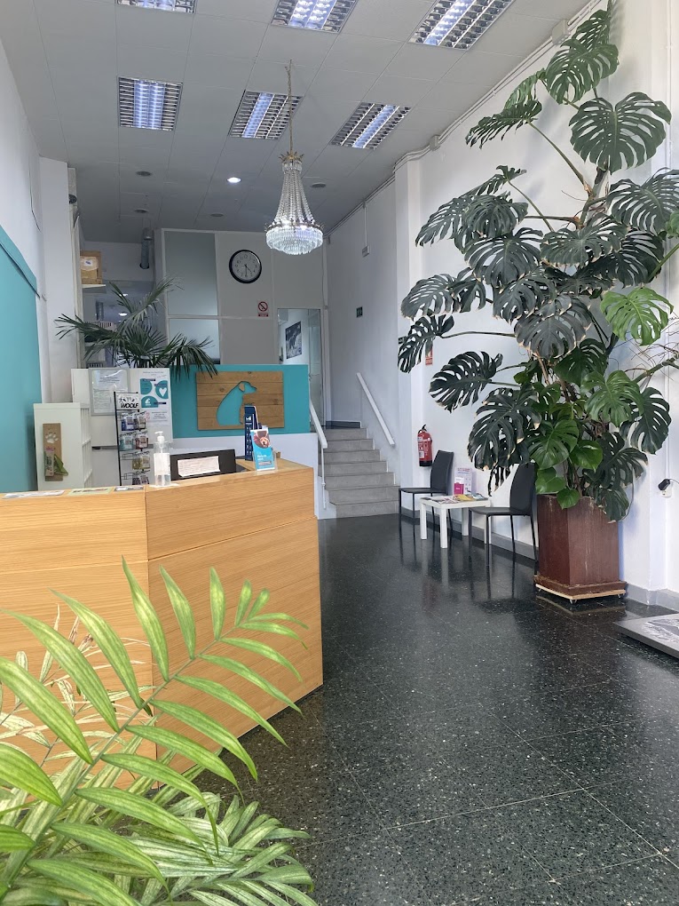 consulta-robion-madrid